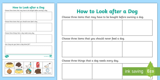 How to Look after a Dog Worksheet (Lehrer gemacht) - Twinkl