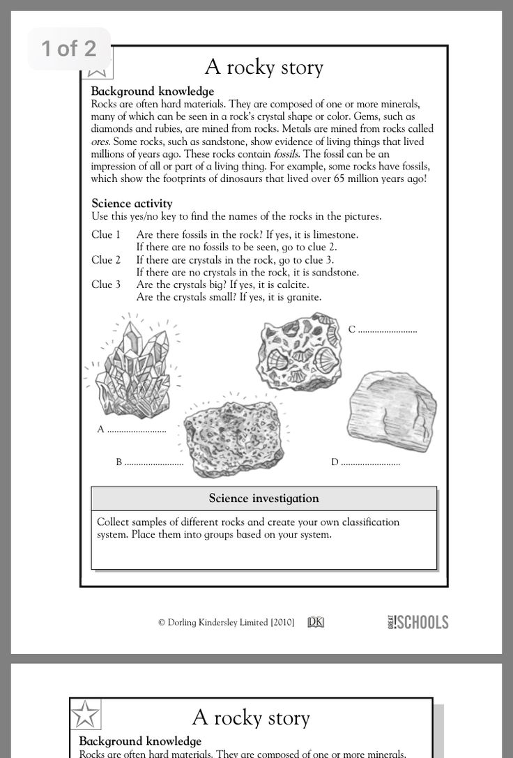 dorling kindersley limited 2010 worksheet