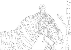 dot to dot for adults