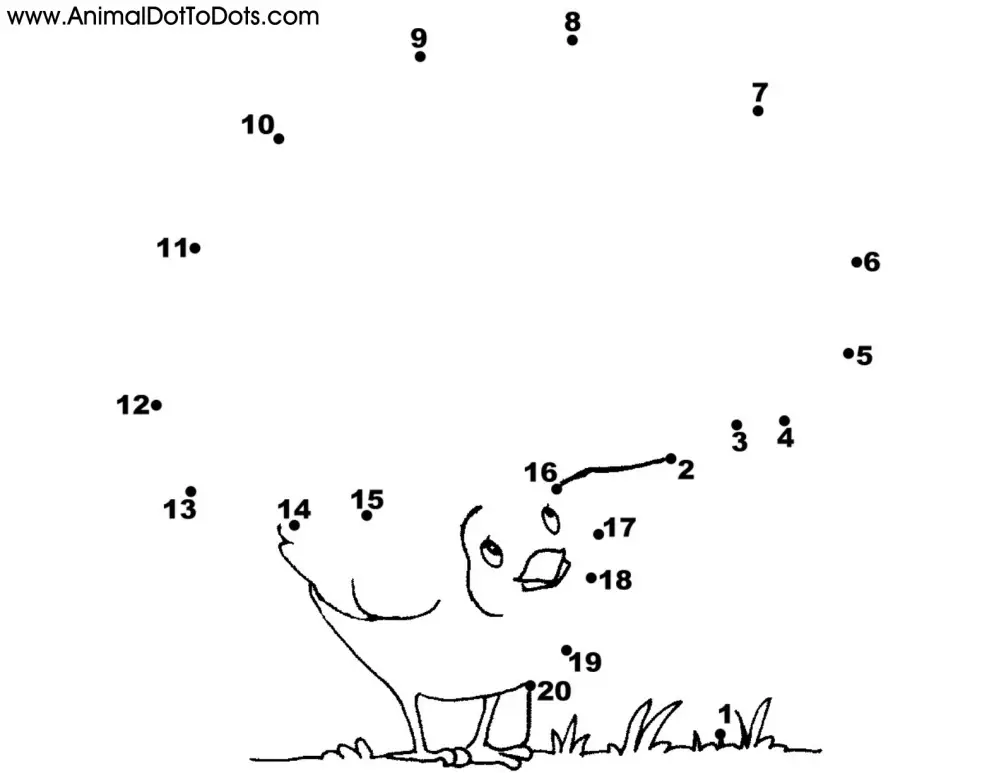 dot to dot worksheet 1 20