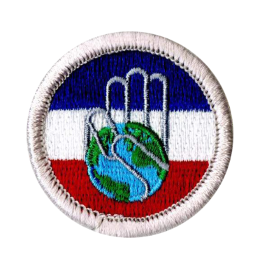 downloadable merit badge books