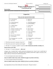 key - dragon genetics worksheet 1-2.doc - University of Pittsburgh ...