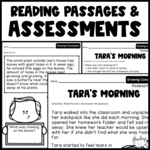 Drawing Conclusions Reading Passages, Graphic Organizers ...