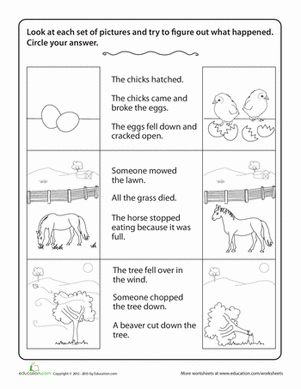 drawing conclusions worksheet for kindergarten
