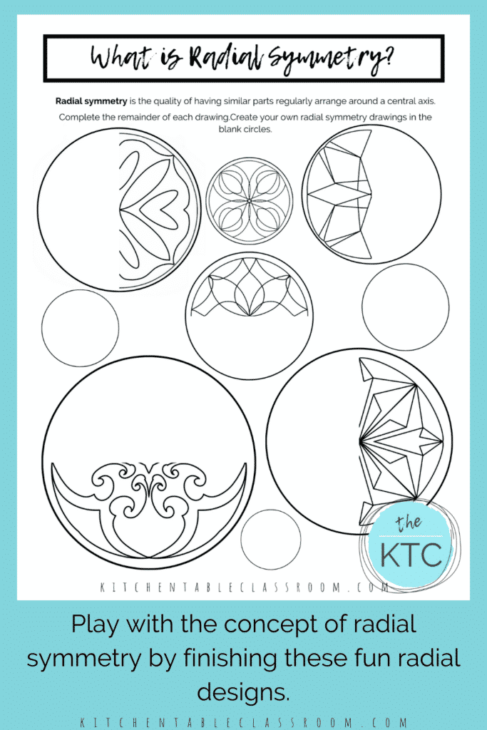 Exploring Art Concepts- Line of Symmetry Worksheets - The Kitchen ...