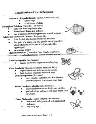 dying to be thin worksheet