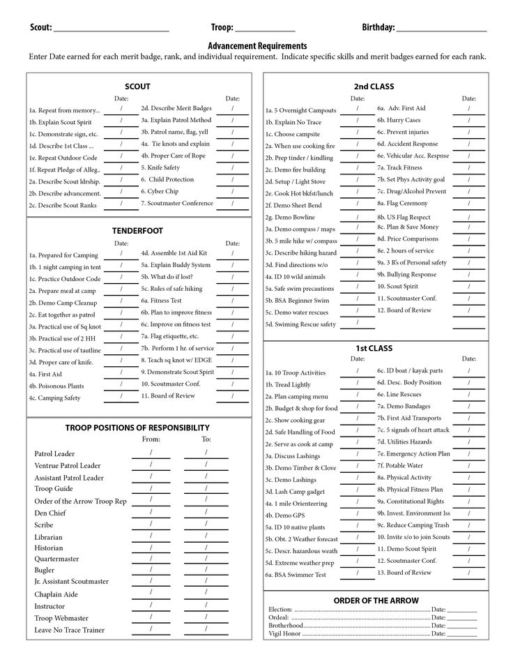 eagle scout merit badge worksheet