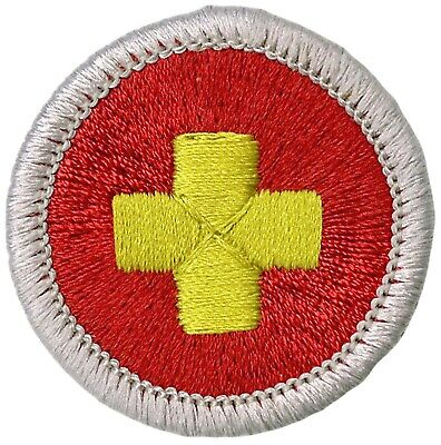 9 Things to Know About Merit Badges - Scout Life magazine