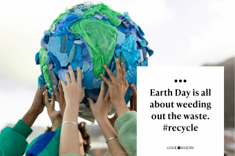 60+ Earth Day Slogans &  Captions Thatll Have You Going Green ...