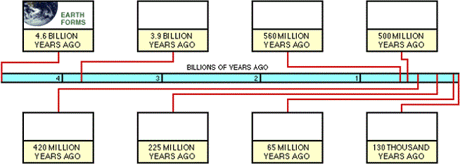 earth history worksheet