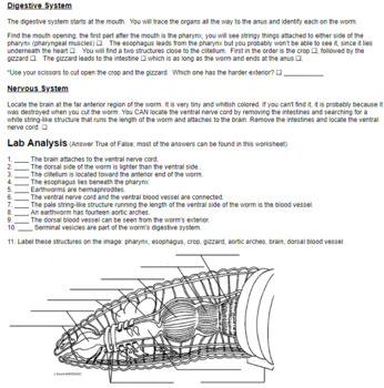earthworm worksheet answers