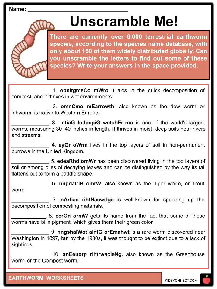 Earthworm Facts &  Worksheets | Types, Habitat, Function, Diet