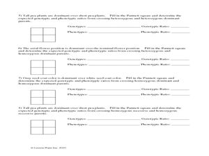easy punnett square worksheet