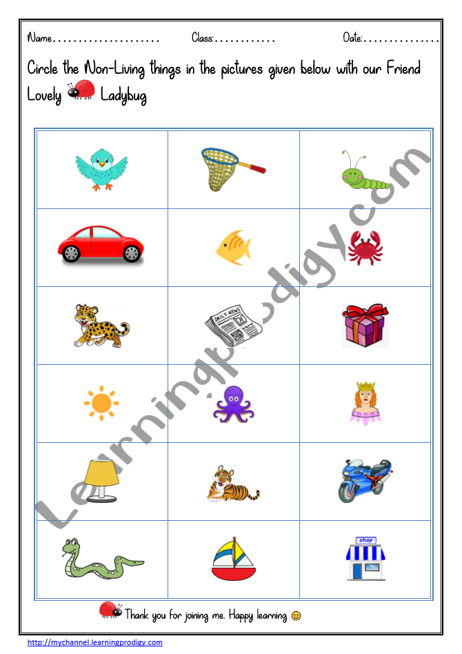 Science Worksheet for Grade 1 | Non-living worksheet for kids