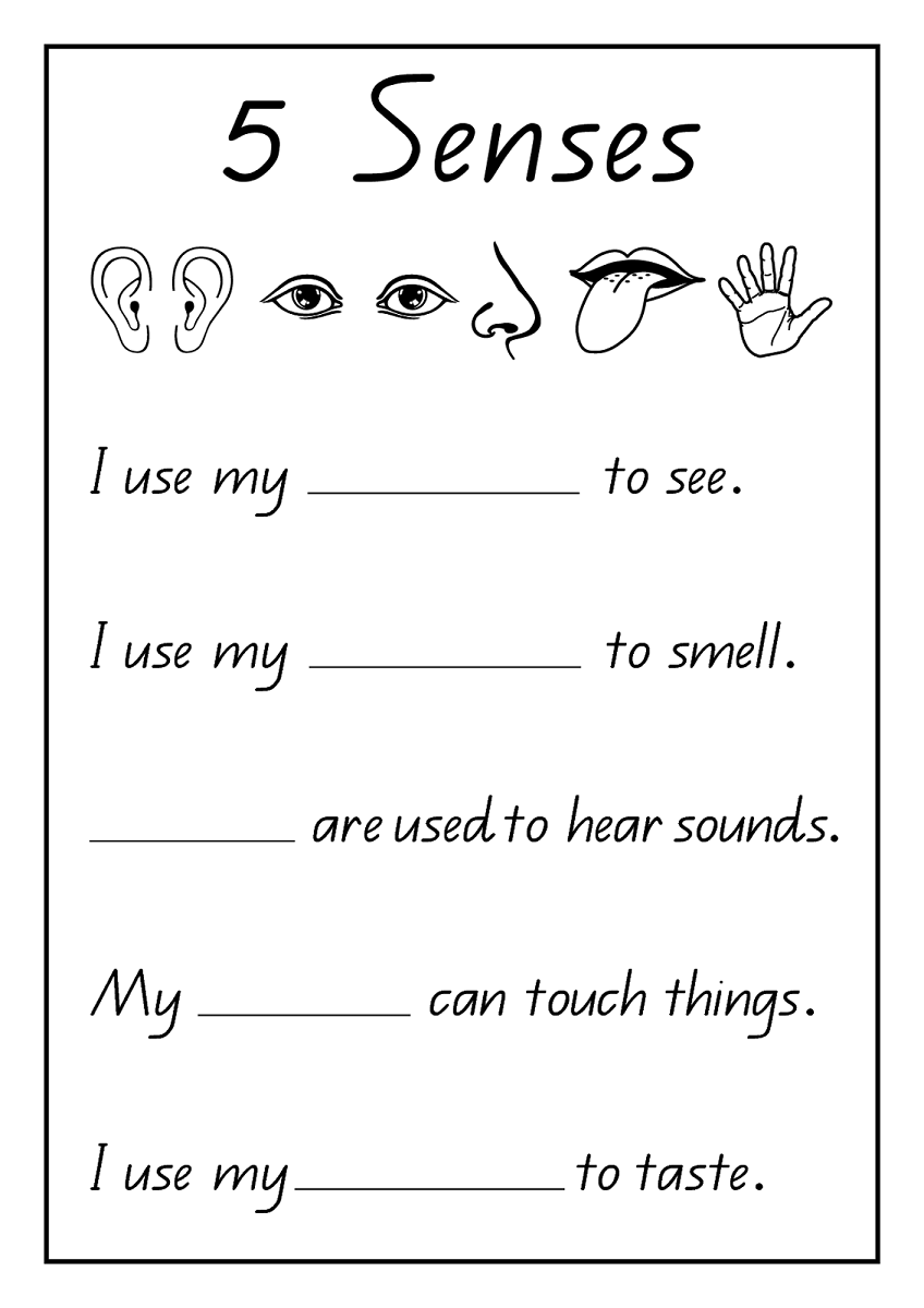 easy science worksheet