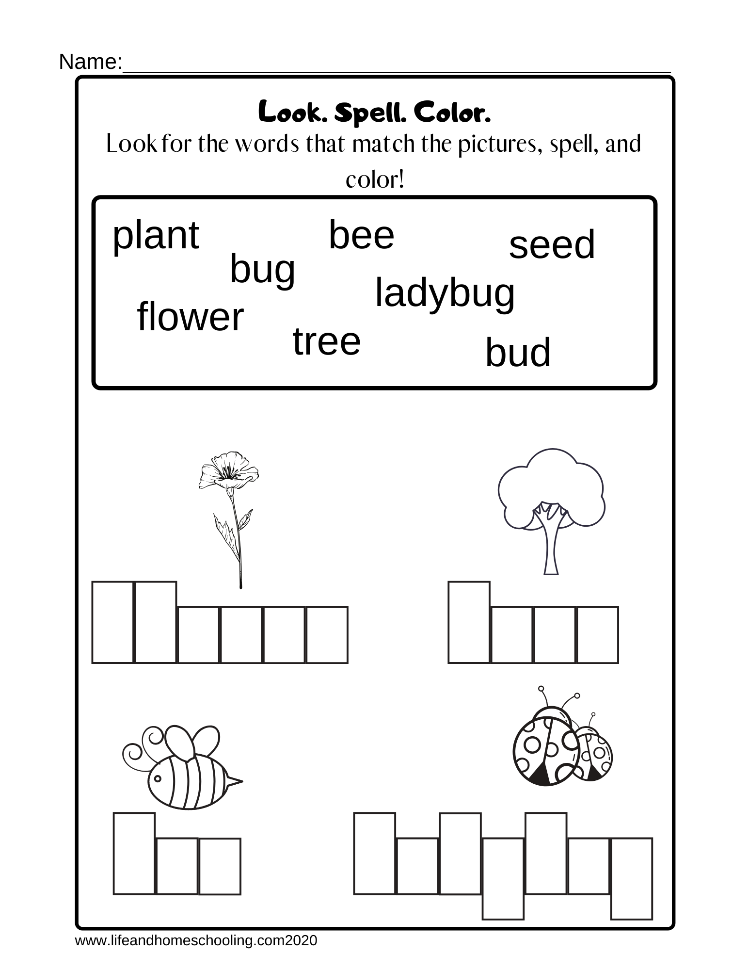 Kindergarten Spelling Worksheet