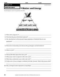 Ecological Pyramid Lesson Plans &  Worksheets :: 25 - 48