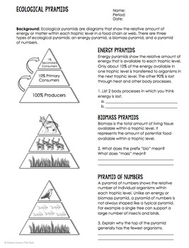 Comparing Ecological Pyramids Worksheets