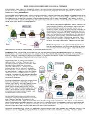 ecological pyramids worksheet