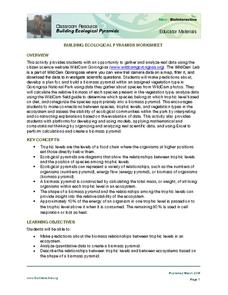 Ecological Pyramids Lesson Plans &  Worksheets Reviewed by Teachers