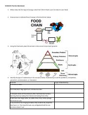 GABRIELA DE LOS SANTOS - Ecology Practice.pdf - ECOLOGY Practice ...