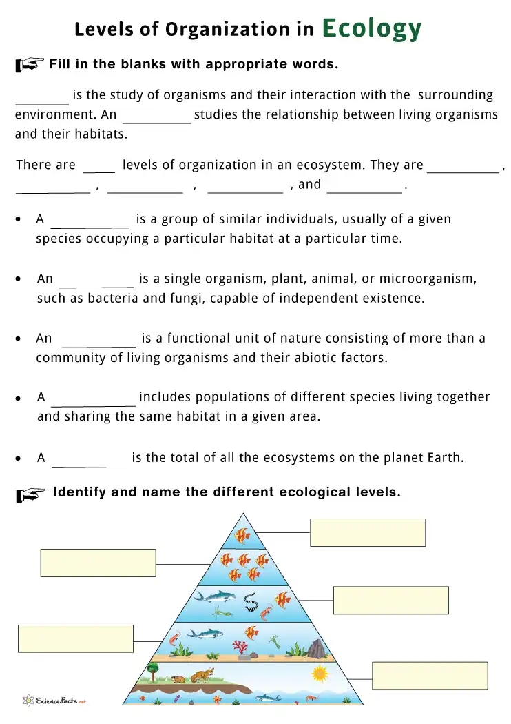 Levels of Ecological Organization Worksheets - Free Printable