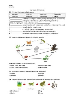 Ecosystem - Worksheet | Easel Activity &  Printable PDF by Science ...