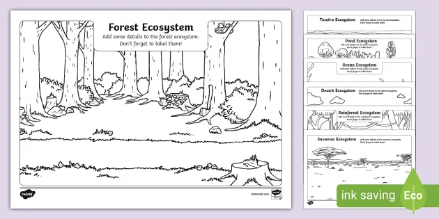 Draw the Ecosystems Pack (teacher made) 