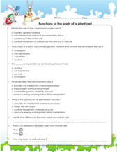 Grade 4 science worksheets