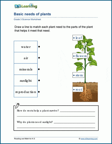 Grade 3 Ecosystems Worksheets | Worsheets library