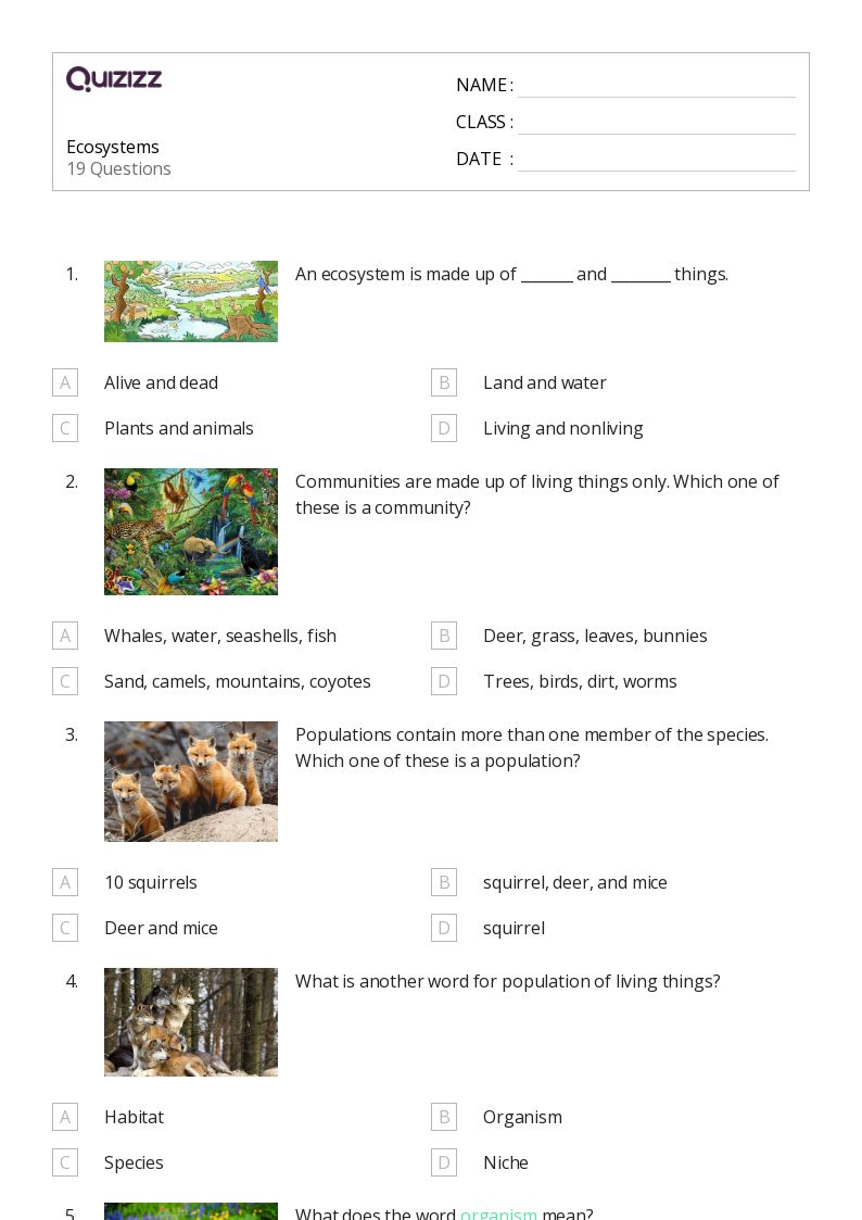 50+ Ecosystems worksheets on Quizizz | Free &  Printable