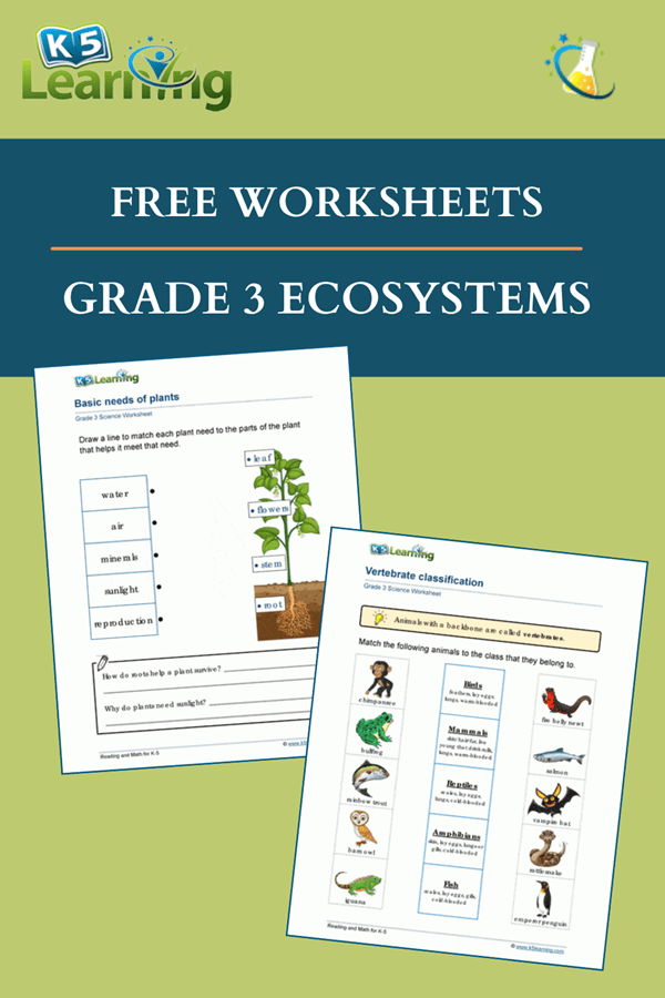 Grade 3 Ecosystems Worksheets | Worsheets library
