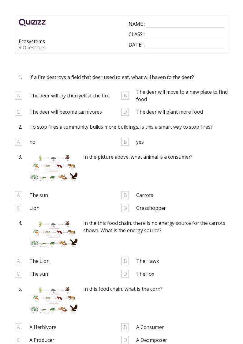 50+ Ecosystems worksheets for 3rd Grade on Quizizz | Free &  Printable