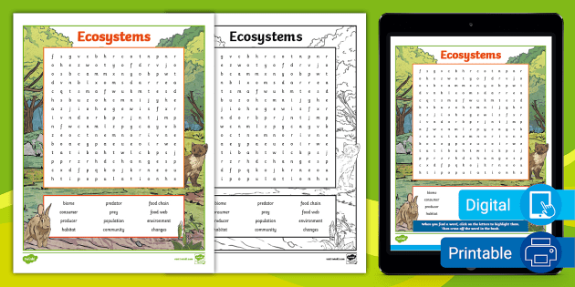 Third Grade Ecosystems Word Search (teacher made) - Twinkl