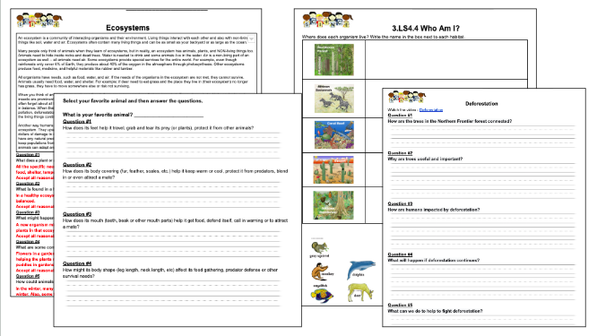 ecosystem worksheet 3rd grade