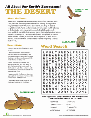 Desert Ecosystem | Worksheet 