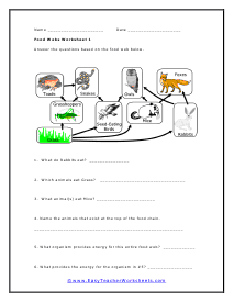 Population Succession Ecology Worksheet Answer Key | Exercises ...