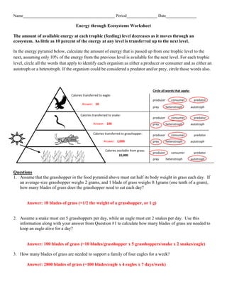energy_through_an_ecosystem_worksheet_as.pdf