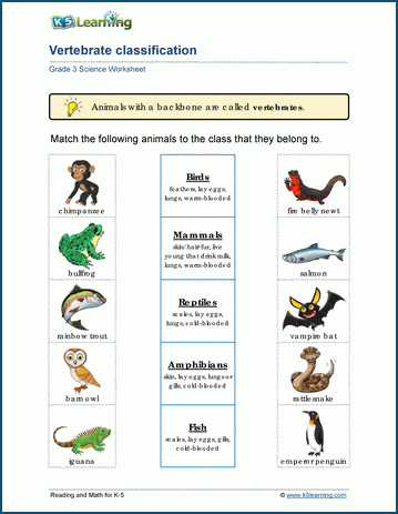Grade 3 Ecosystems Worksheets | Worsheets library