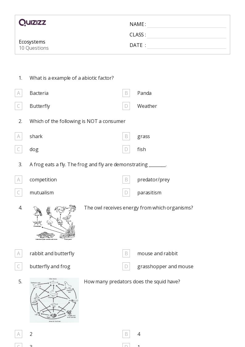 50+ ecosystems worksheets for 9th Grade on Quizizz | Free &  Printable