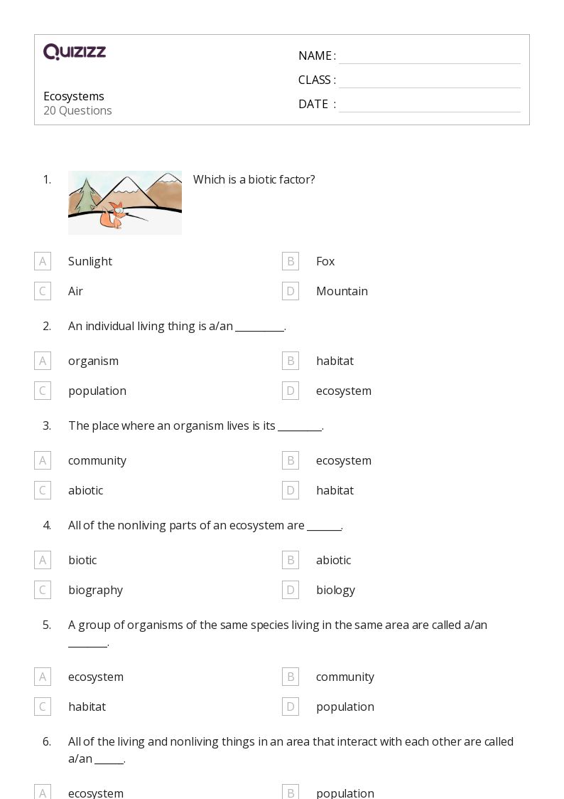 ecosystem worksheet for 5th grade