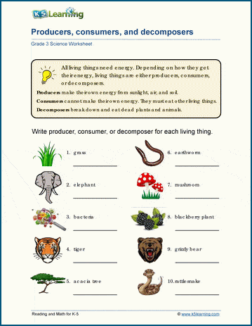 Ecosytems Worksheets | Worsheets library