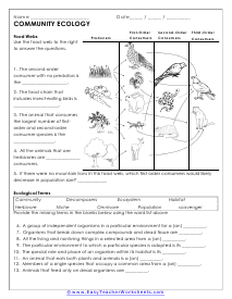 ecosystem worksheet