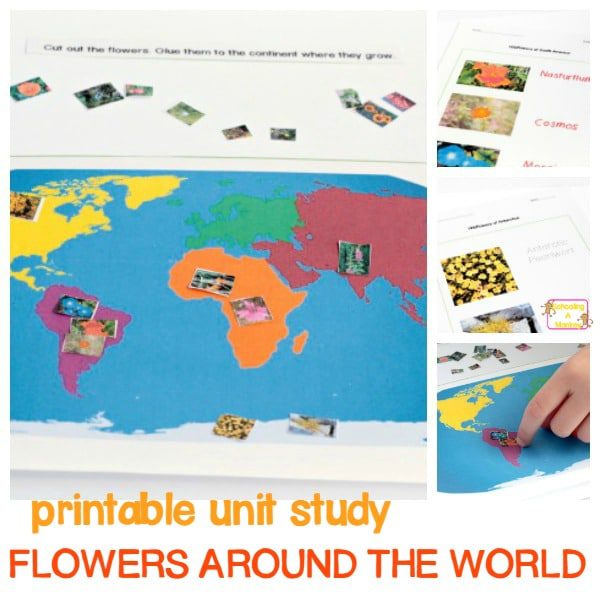 ecosystems of the world worksheet