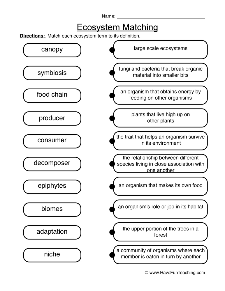 ecosystems worksheet answers
