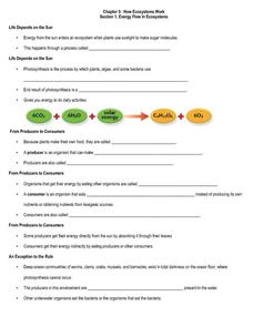 How Ecosystems Work Worksheet for 6th - 9th Grade | Lesson Planet