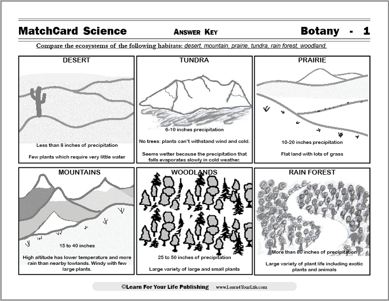 Types of Ecosystems