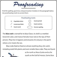 editing worksheet 4th grade