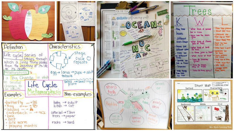 Graphic Organizers 101: Why and How To Use Them - We Are Teachers