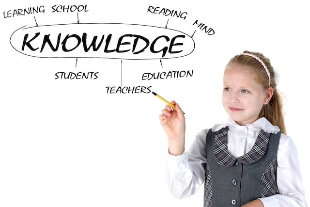 educational graphic organizers